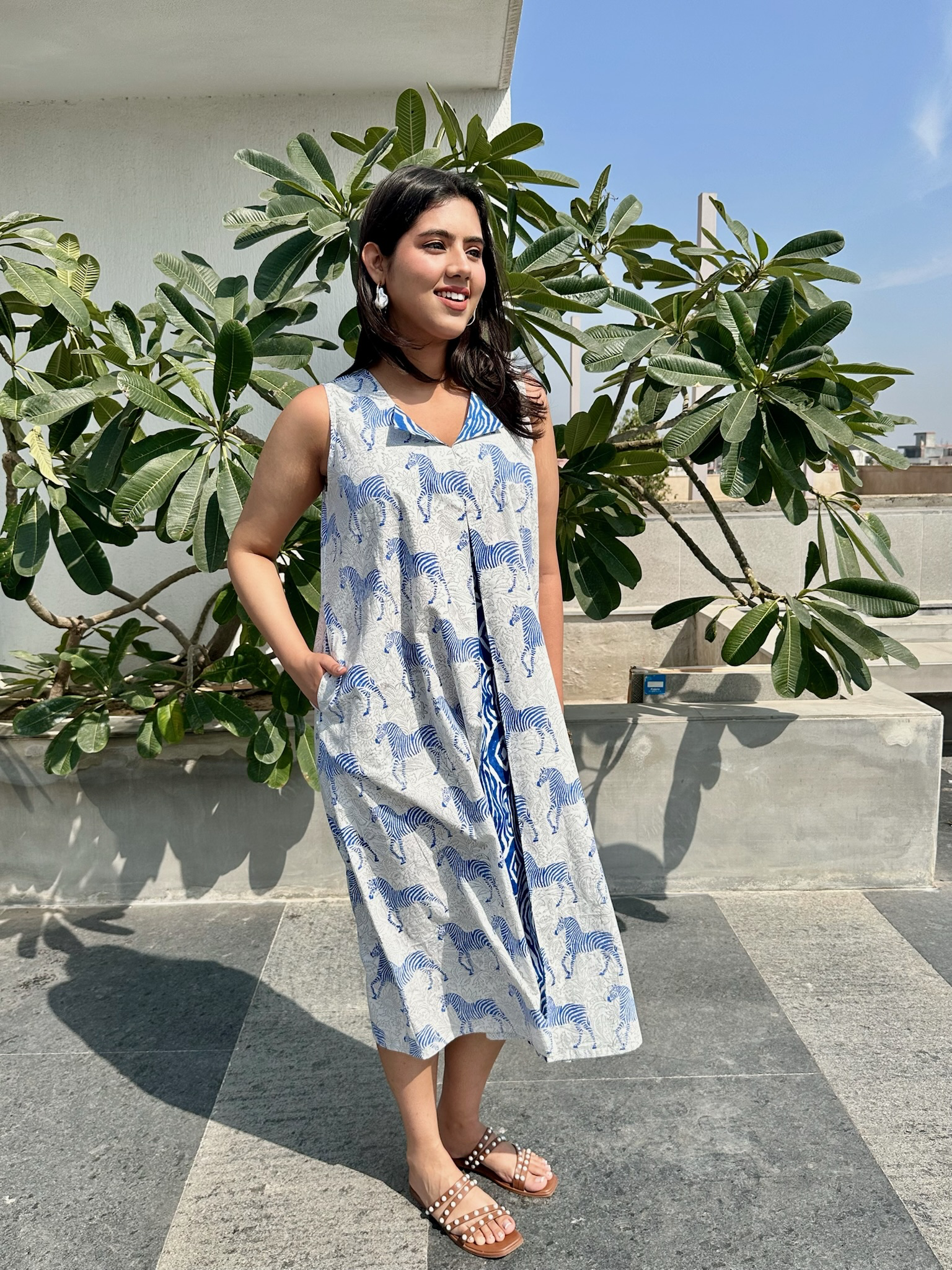 Zebra Striped Blue Midi Dress