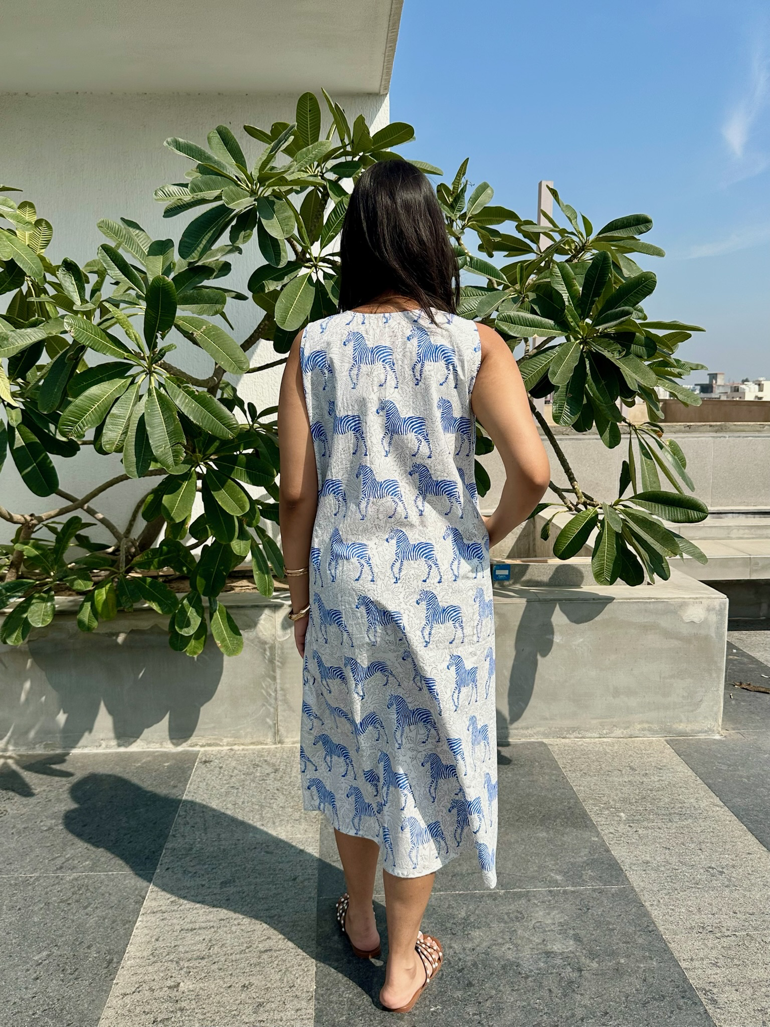 Zebra Striped Blue Midi Dress
