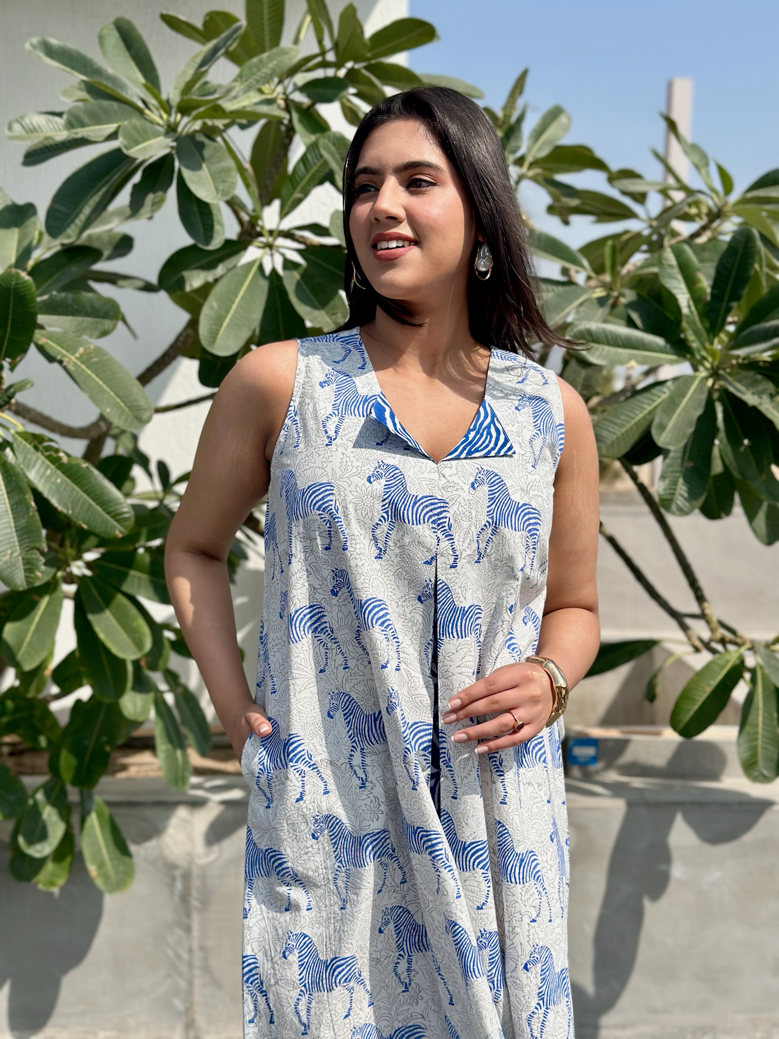 Zebra Striped Blue Midi Dress